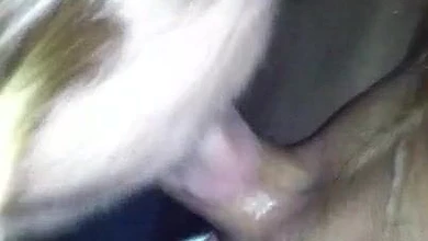 Возбужденный чувак снял на камеру как круто его русская подружка умеет отсасывать член